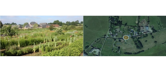 2020 - Après de longs semis, enfin ça lève ! A quand la récolte ?  